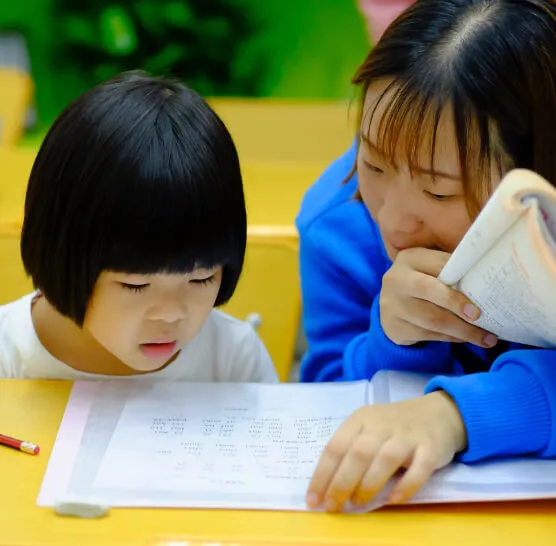 تصاویر گالری